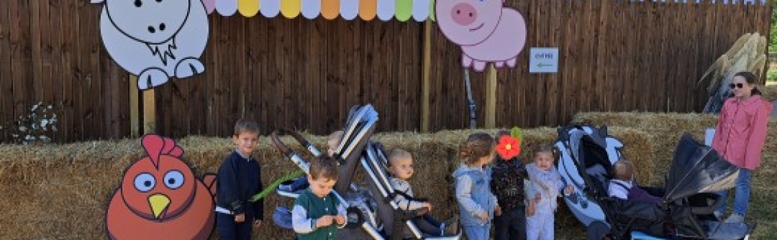 SORTIE ANNUELLE